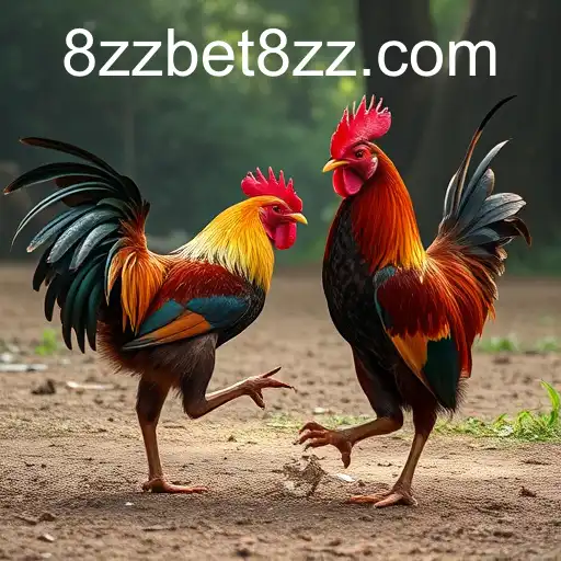 Exploring the Digital Arena of Online Sabong: A Look at 8zzbet's Platform